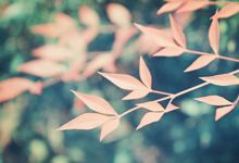 古巴队球员参加慈善竞赛：温暖与力量的赛场故事