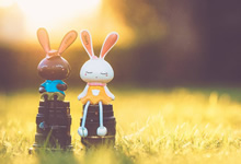 塞拉利昂队球员表现出色受赞誉