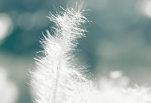 格雷斯霍普主场大胜，豪取分