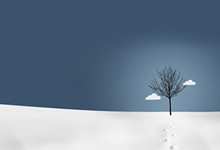 瑞典球员正式加盟德甲联赛，引发关注