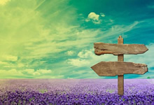 目标进账！射手榜新王登基