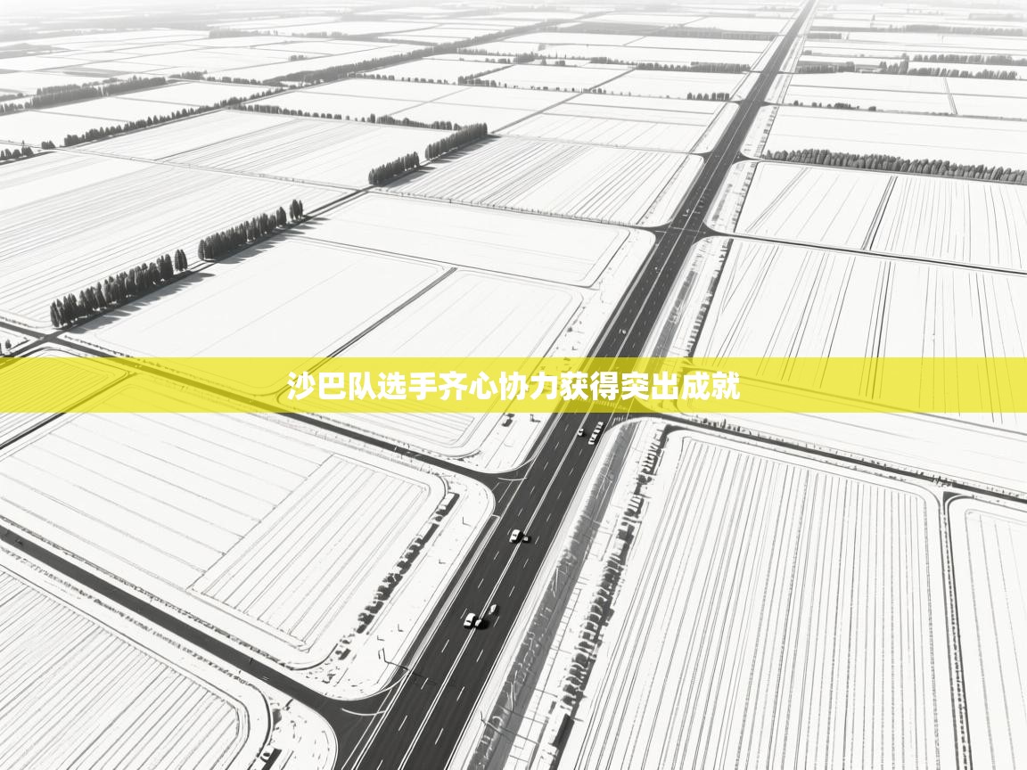 沙巴队选手齐心协力获得突出成就