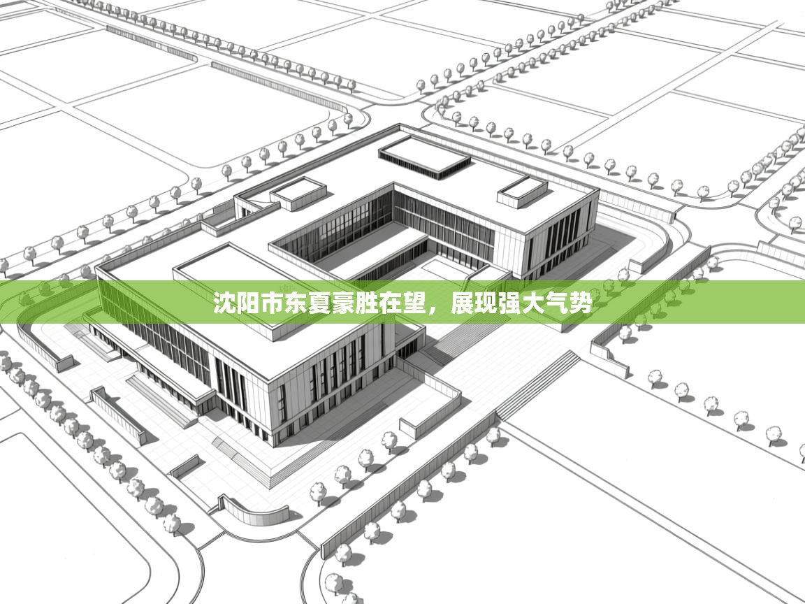 沈阳市东夏豪胜在望，展现强大气势  第2张